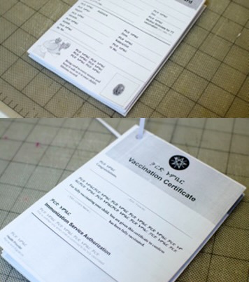 Ethiopian home-based vaccination record prototype showing the redesigned certificate and authorisation pages